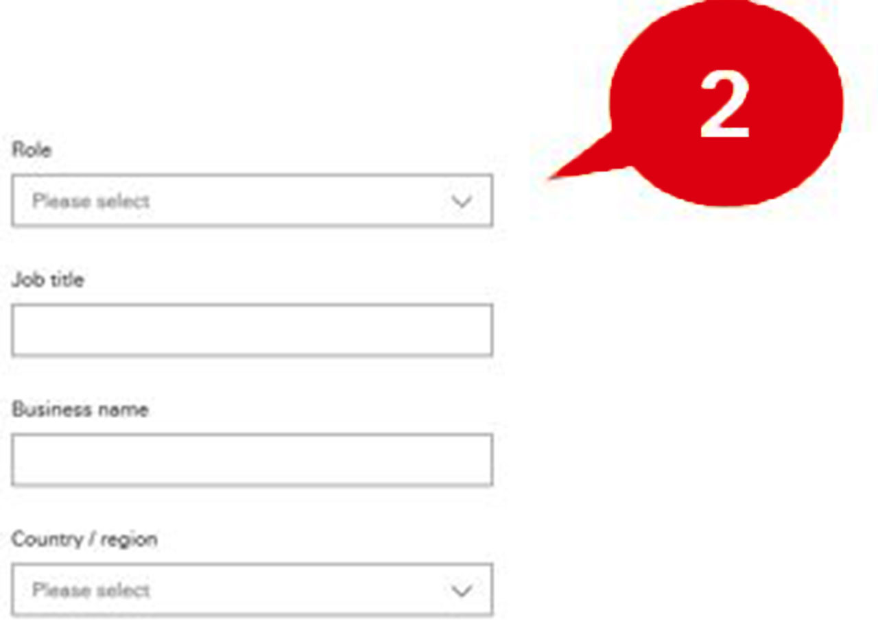 Step 3 of online application form, input fields of role, job title, business name and country/region