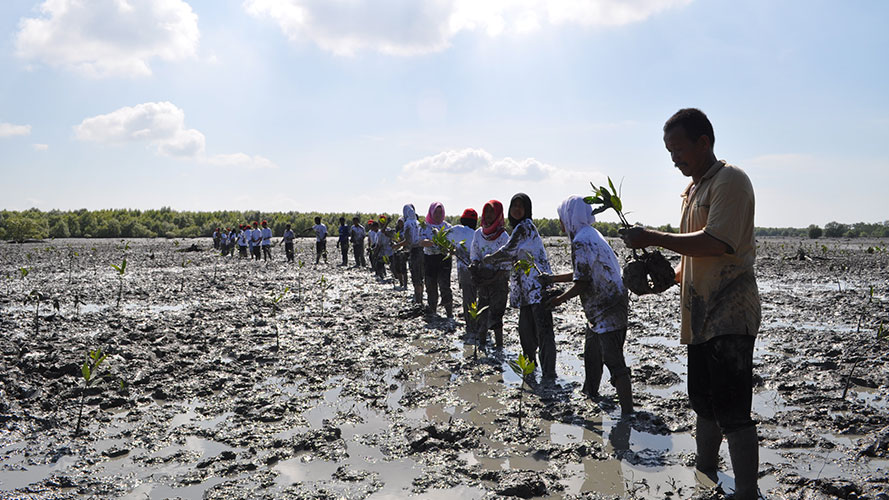 People planting trees; image used for HSBC Amanah Premier World Mastercard Credit Card-i page.